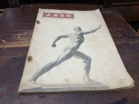 浙江美术学院编撰教材 人体结构书籍