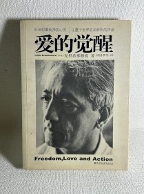 爱的觉醒