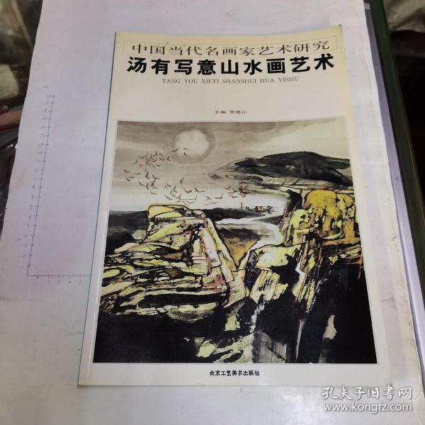 汤有写意山水画艺术
