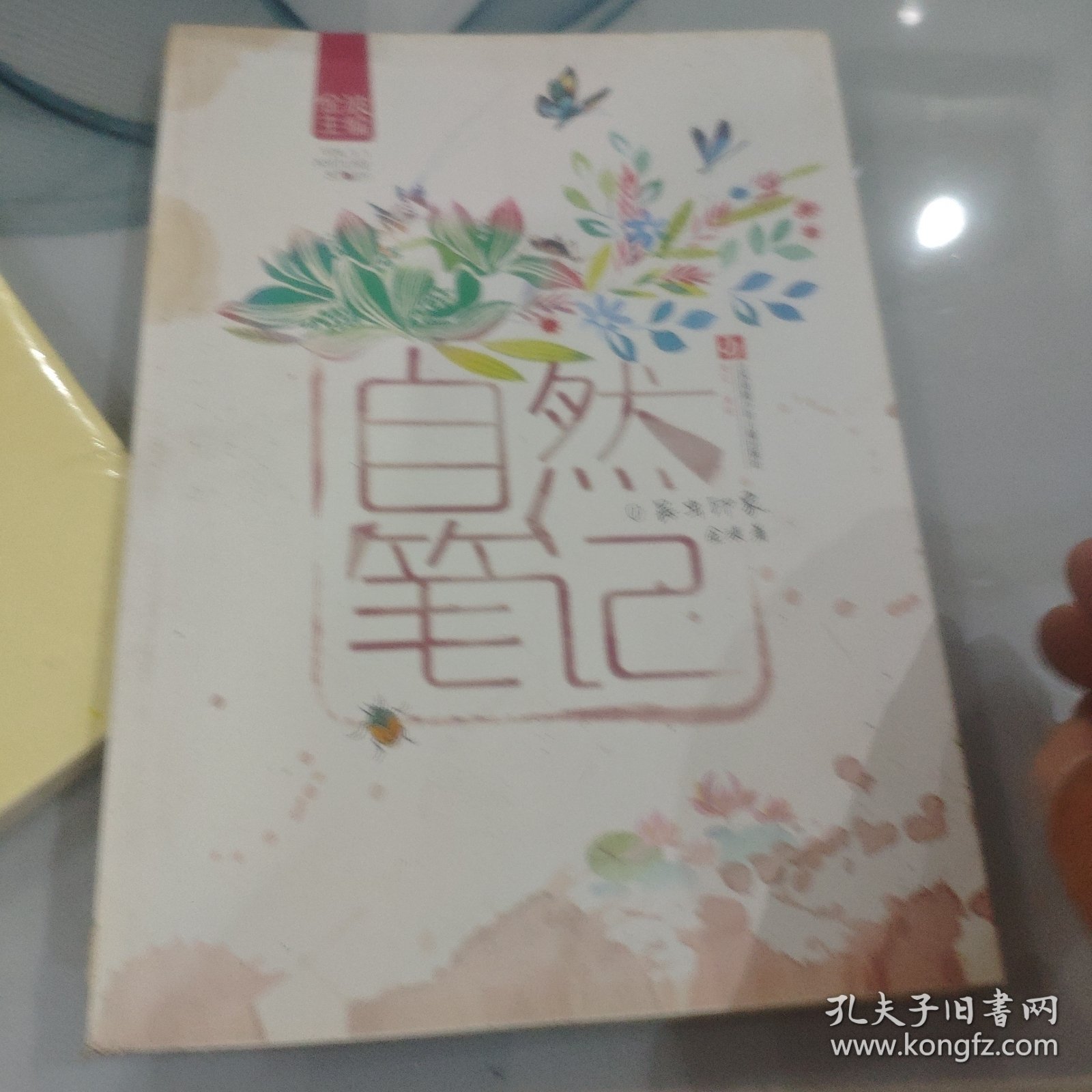 自然笔记（Vol 1.1）：昆虫印象