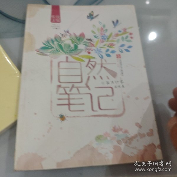 自然笔记（Vol 1.1）：昆虫印象