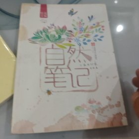 自然笔记（Vol 1.1）：昆虫印象