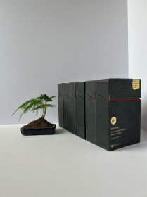 残佛的沉睡—晚清民国时期中国佛像遗迹，一盒60张全，外盒微瑕疵，2019年中国画报出版社，