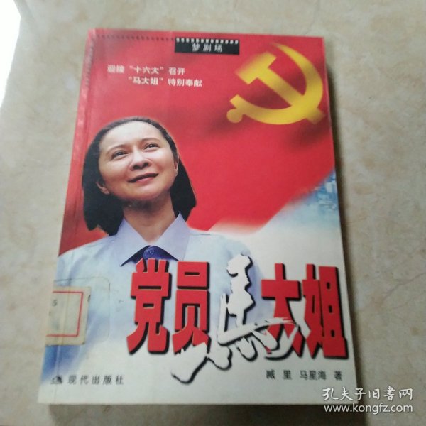 党员马大姐