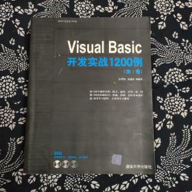 Visual Basic开发实战1200例（第Ⅰ卷）