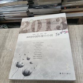 2013中国年度小小说