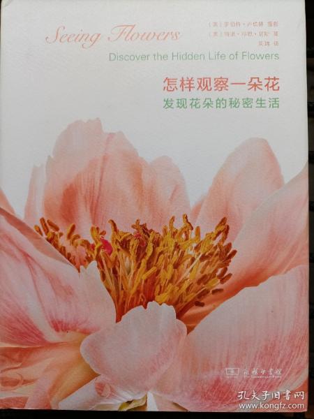 怎样观察一朵花：发现花朵的秘密生活