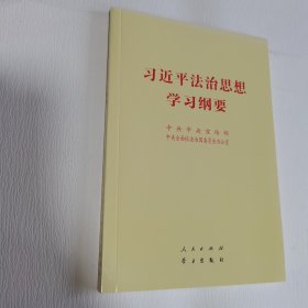 习近平法治思想学习纲要（32开）