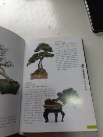 中国盆景艺术鉴赏全集