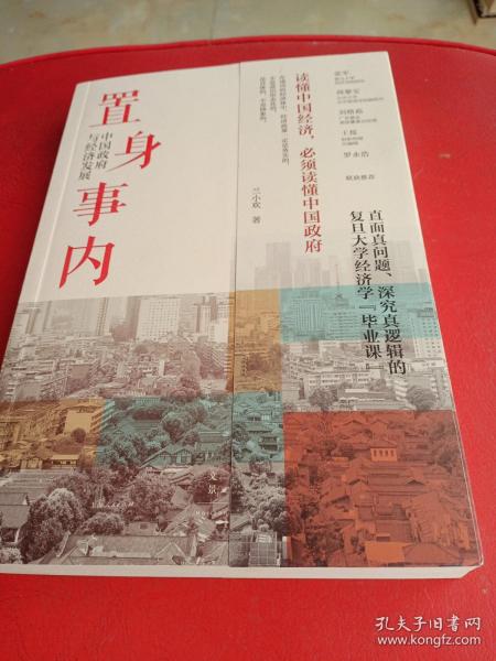 置身事内：中国政府与经济发展（罗永浩、刘格菘、张军、周黎安、王烁联袂推荐，复旦经院“毕业课”）