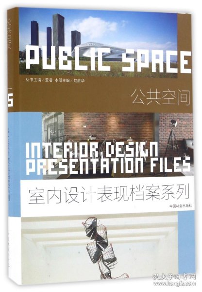 公共空间(精)/室内设计表现档案系列