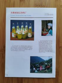 云南省绥江饮料厂-粒粒橙汁广告