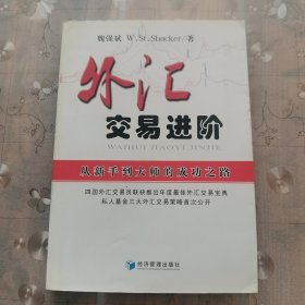 外汇交易进阶：从新手到大师的成功之路