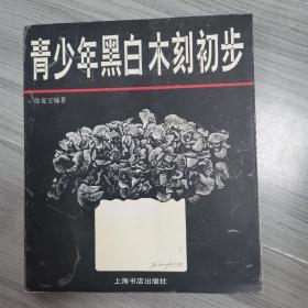 青少年黑白木刻初步