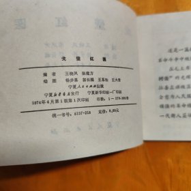 戈壁红医