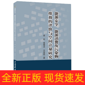 能源安全、能源消费及污染物排放的评价与空间计量研究