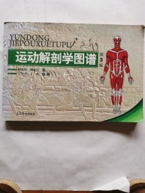 运动解剖学图谱（第3版）