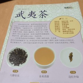 茶风系列：武夷茶