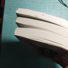 无愁河的浪荡汉子·朱雀城(全三册)