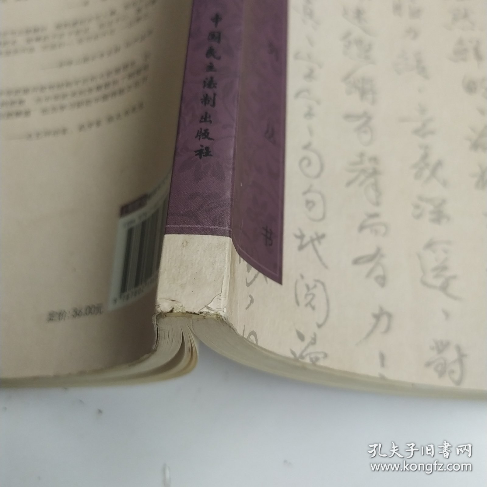 中华武道概论（8品16开前2页侧书口有撕裂破损2009年1版1印150页23万字中华武道系列丛书）325
