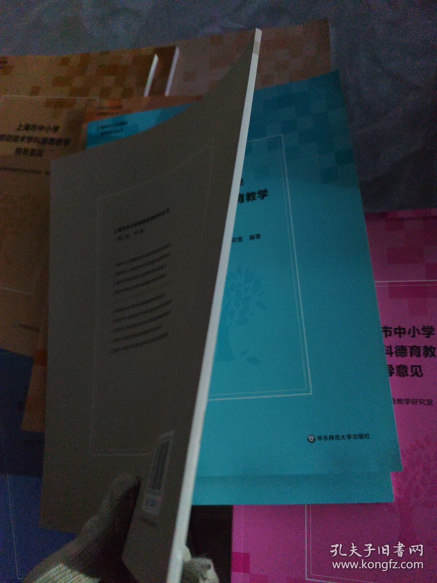 上海市中学生命科学学科德育教学指导意见 上海市中小学课程德育研究丛书 教师用书 正版 华东师大出版社