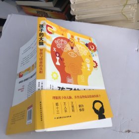 孩子的大脑：智商与情商的真相