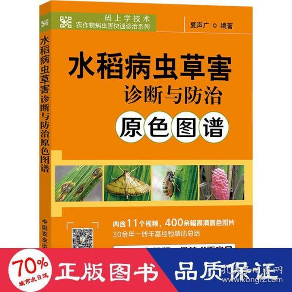 水稻病虫草害诊断与防治原色图谱/码上学技术农作物病虫害快速诊治系列