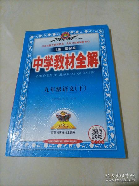 中学教材全解 九年级语文下 人教版 2017春