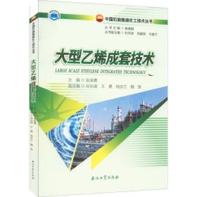 大型乙烯成套技术/中国石油炼油化工技术丛书