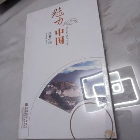 魅力中国 接触中国DVD8碟装