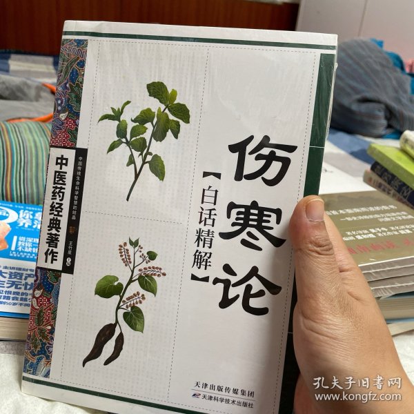 伤寒论白话精解