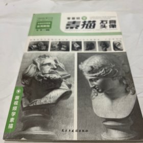 零基础学素描实用教程：结构+静物+几何体+石膏头像（套装共4册扫码观看教学视频）