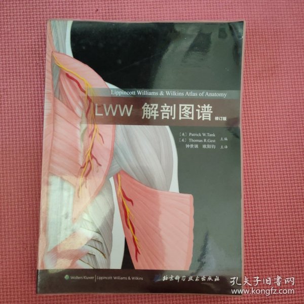 LWW解剖图谱