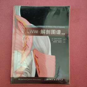 LWW解剖图谱