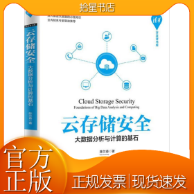 云存储安全 大数据分析与计算的基石