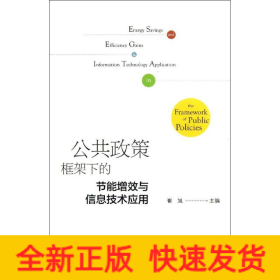公共政策框架下的节能增效与信息技术应用