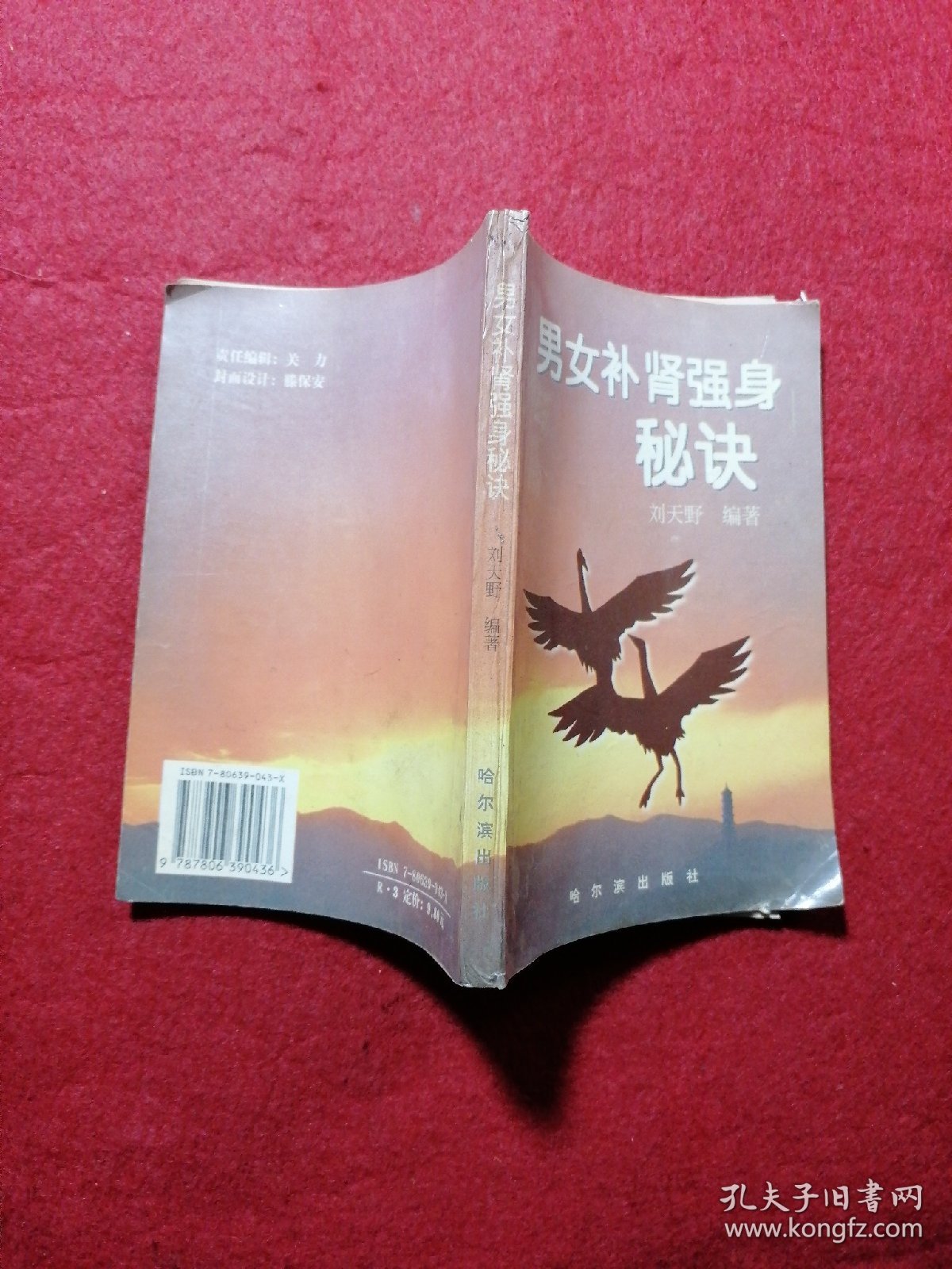 男女补肾强身秘诀