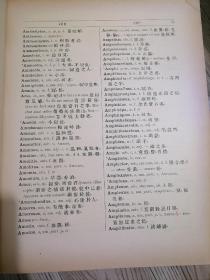 晚清汉洋古字典专题：中华辣丁合璧字典，1892年豪华精装版，超重，牛皮竹节书脊