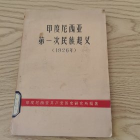 印度尼西亚第一次民族起义