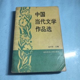 中国当代文学作品选