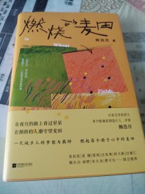 燃烧的麦田（在夜归的路上看过星星，在拥挤的人潮守望麦田。一代城乡人的梦想与羁绊，燃起每个游子心中的麦田。百花文学奖得主韩浩月，全新非虚构散文集。）