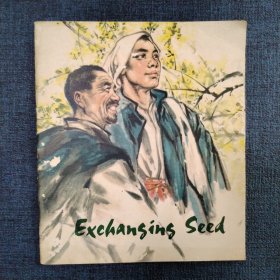 英文版大开本彩色连环画《换稻种》