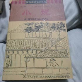 陕西蒲城文学丛书《小说》