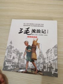 三毛流浪记:电影版