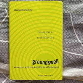 【外文原版】Groundswell：Winning in a World Transformed by Social Technologies