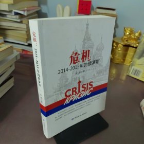 危机：2014-2015年的俄罗斯