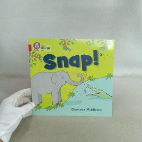 英文原版Snap