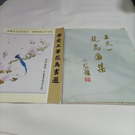 王天一花鸟画集【受潮水印】、学爱工笔花鸟画选【秦学爱】