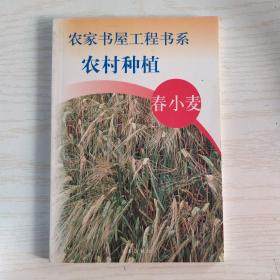 农村种植～春小麦
