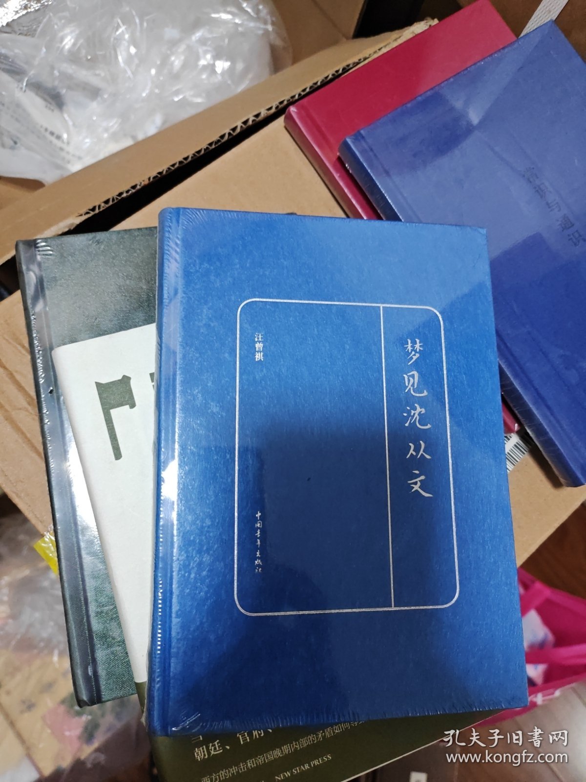 梦见沈从文